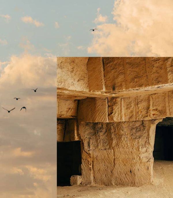 Close up of soil texture