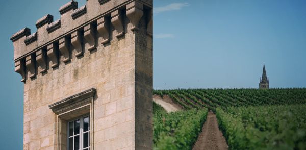 Image split in 2 : part of the building and the roof of the Château on the left and vines on the right