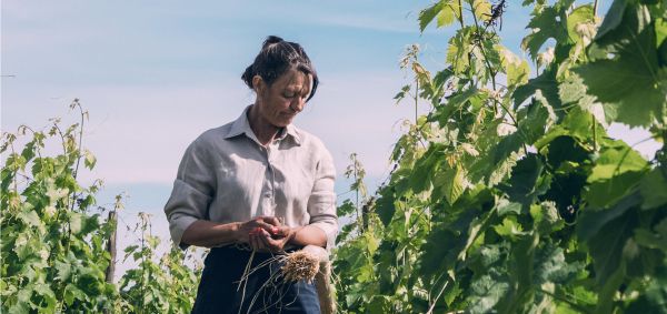 Woman in the vineyards